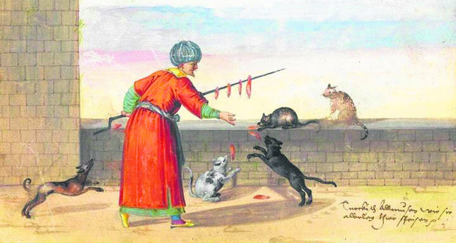 Ekrem Bugra Ekinci Love Of Cats A Sign Of Faith In Islam