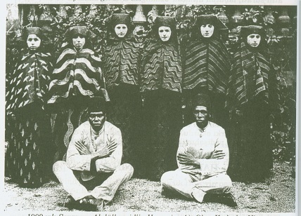 Members of the harem in a recreational area